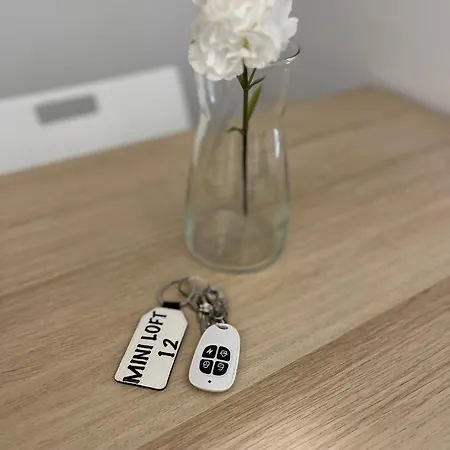 Loft 12 Nel Centro Di شقة